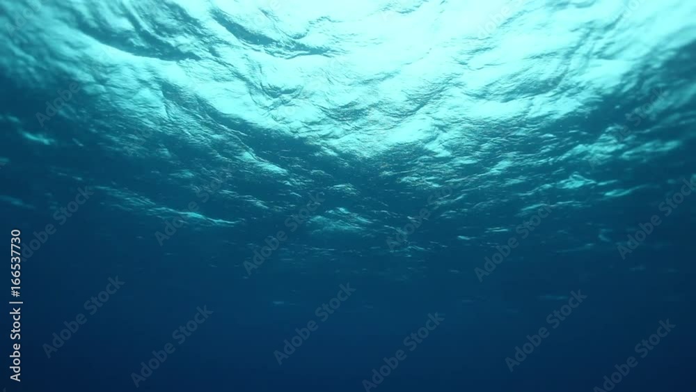Low angle, Pacific Ocean surface Low angle, Pacific Ocean surface