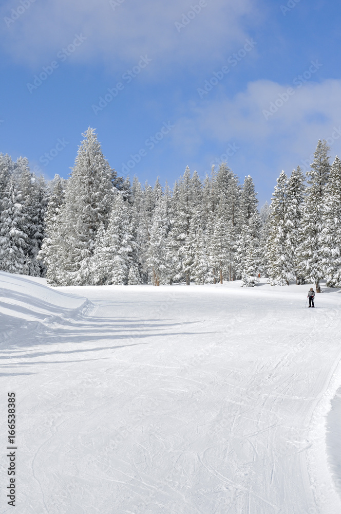 Ski resort slope with skier
