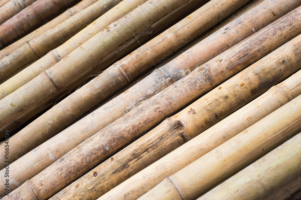 Close up of bamboo wood background texture Close up of bamboo wood background texture