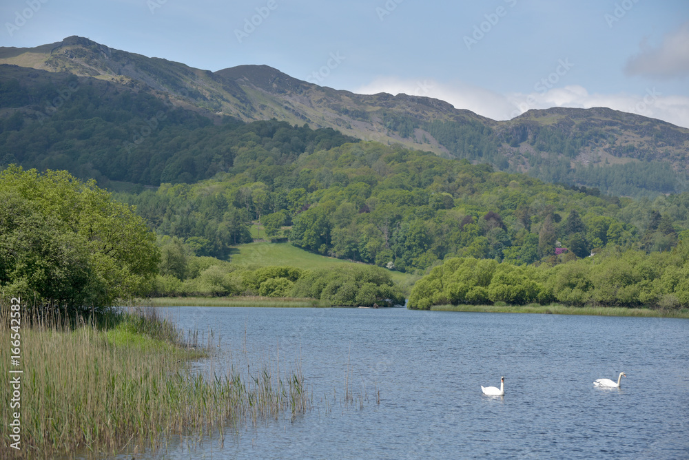 Lingmoor Fell and Elterwater, English Lake District