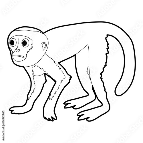 Capuchin icon outline