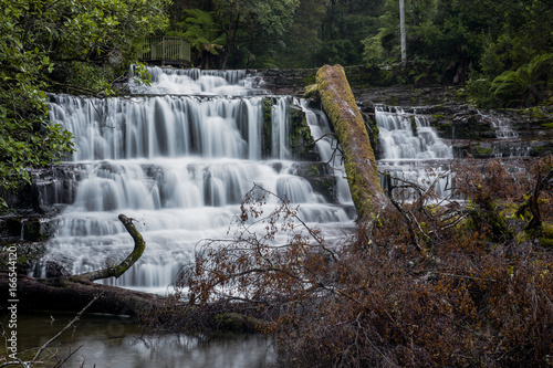 Fototapeta Naklejka Na Ścianę i Meble -  Beautiful Liffey Falls in the Midlands Region, Tasmania after heavy rain fall.