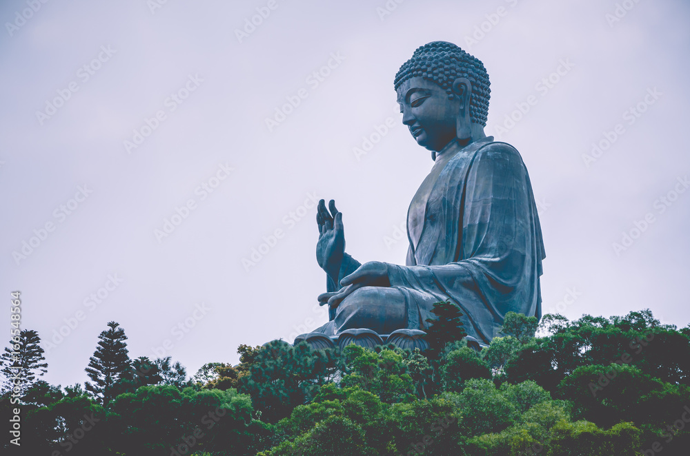 Fototapeta premium Giant Buddha in Hong Kong, Lantau Island