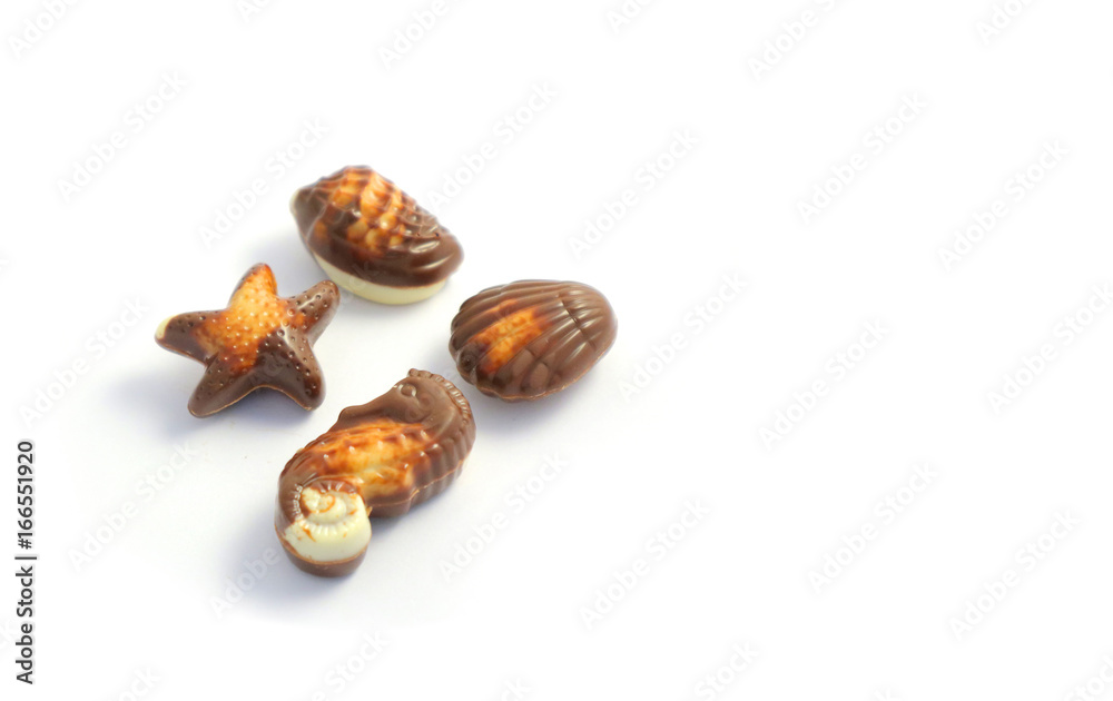 Set of delicious praline chocolate, macro view, closeup. Photo depicting the assortment of Belgian chocolate pralines sweet candies. Seashell, sea star, sea horse. Set of delicious praline chocolate, macro view, closeup. Photo depicting the assortment of Belgian chocolate pralines sweet candies. Seashell, sea star, sea horse.