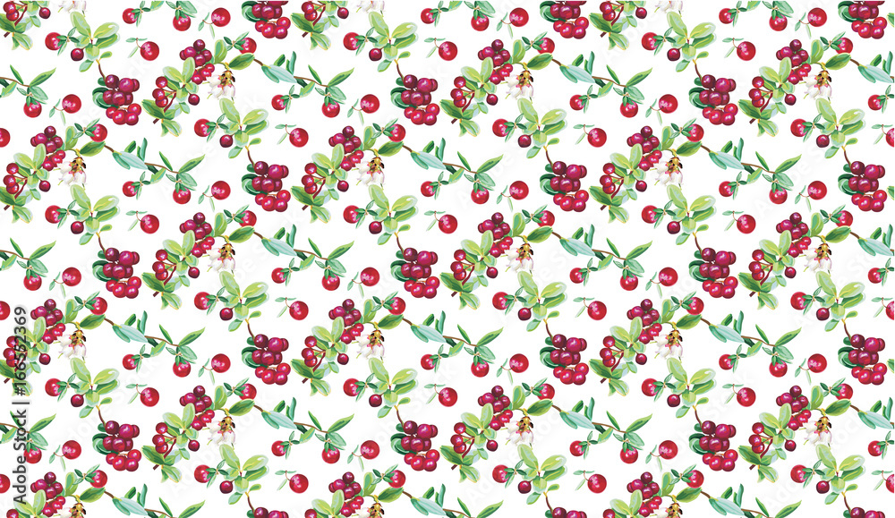 berry pattern painting vectors