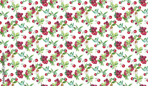 berry pattern painting vectors