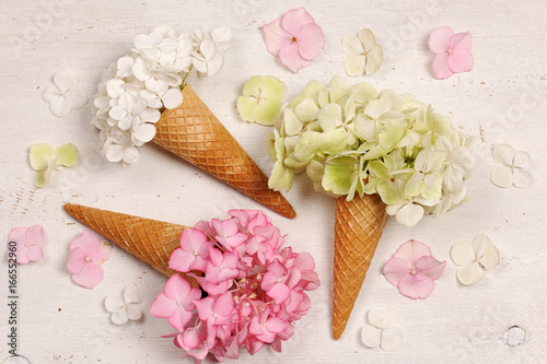 Fototapeta Naklejka Na Ścianę i Meble -  ice cream cones with hydrangea flowers