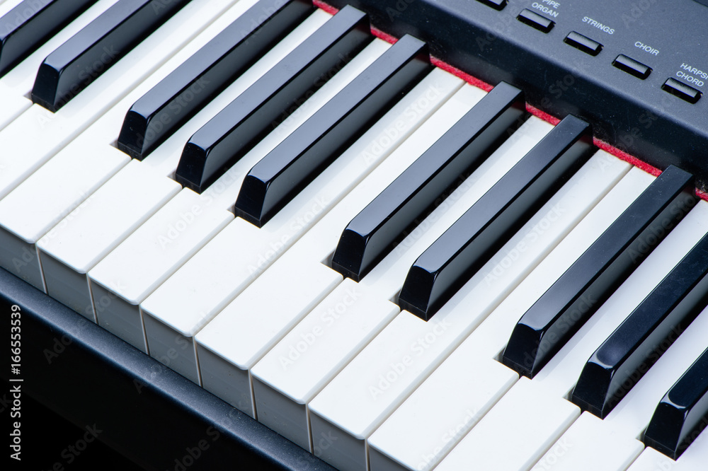 close-up of piano keys. close frontal view
close-up of piano keys. close frontal view