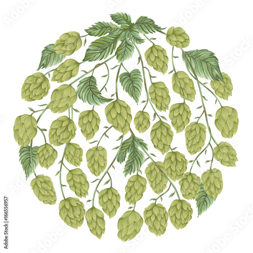 Circle banner with hop cones, leaves and branches. Isolated elements. Vintage hand drawn illustration in watercolor style.