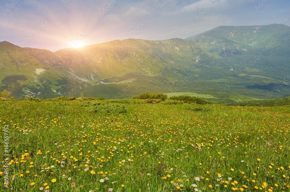 Obraz premium Field in mountains during sunrise. Natural landscape