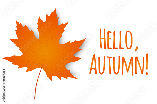 Hello, autumn. Autumn maple leaf isolated on a white background. Vector illustration