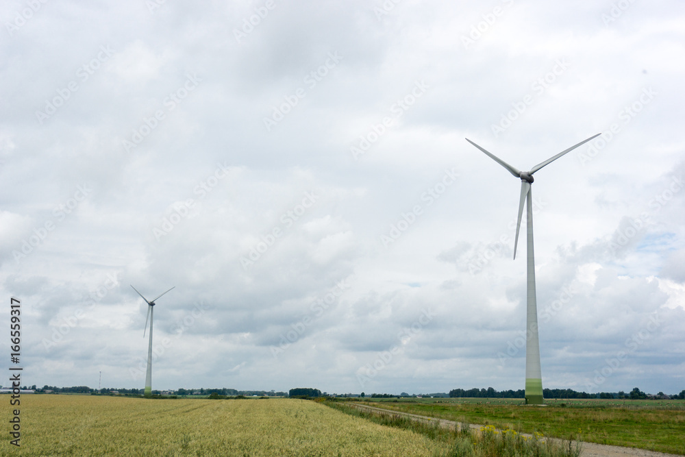 Wind Turbines and buckwheat fields on a cloudy day. Near storm Wind Turbines and buckwheat fields on a cloudy day. Near storm