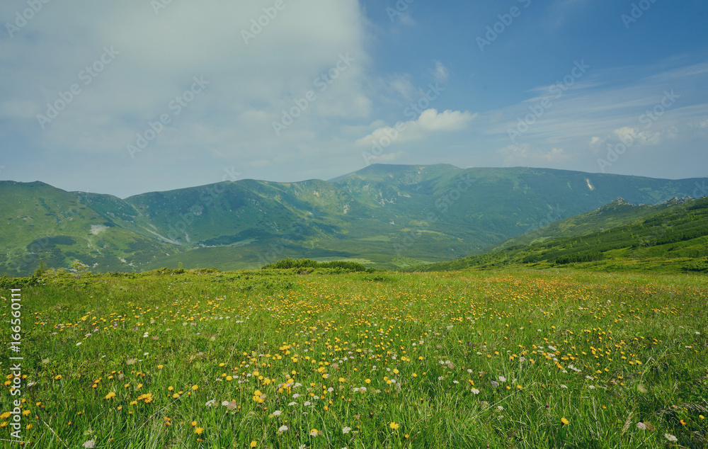 Field in mountains during sunrise. Field in mountains during sunrise.