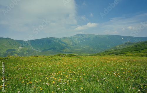 Field in mountains during sunrise.