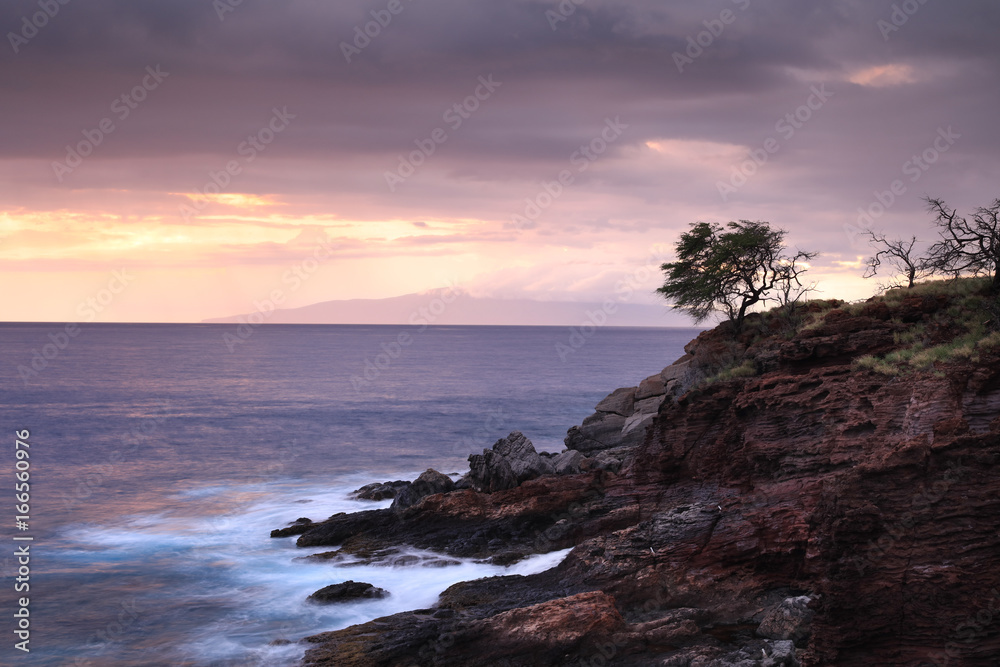 Obraz premium Suset at the sea rocky coastline with a dry trees and smooth motion blurred water surface