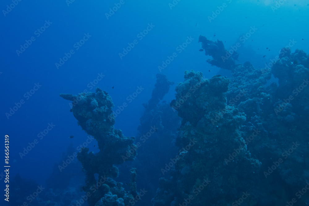 Fototapeta premium Dark misty underwater environment with dead reefs