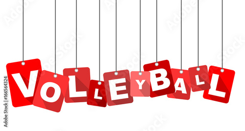 Red vector flat design background volleyball. It is well adapted for web design.