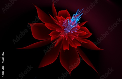 Flower fractal for decoration , printing on paper, 