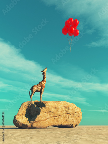 Photography A giraffe standing on a large rock