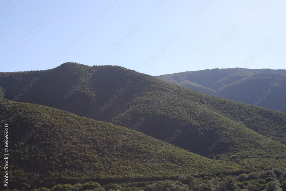 Mountain green landscape