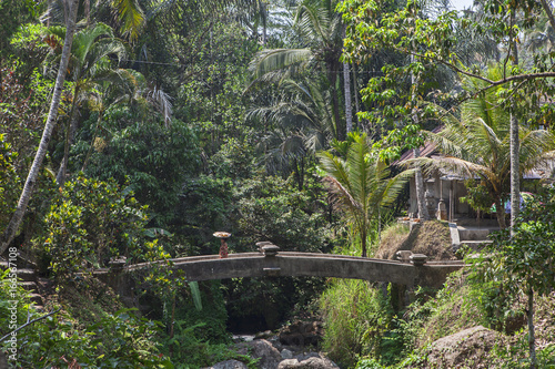 Tropical jungle valley with stone bridge and woman walking with plate on head  Bali  Indonesia