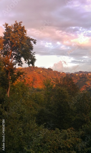 Autumn orange nature tree sunset mountain hill