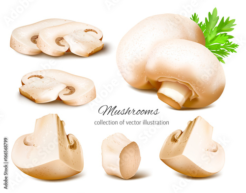 Mushrooms whole and slices. Collection of od mushroom. Fully