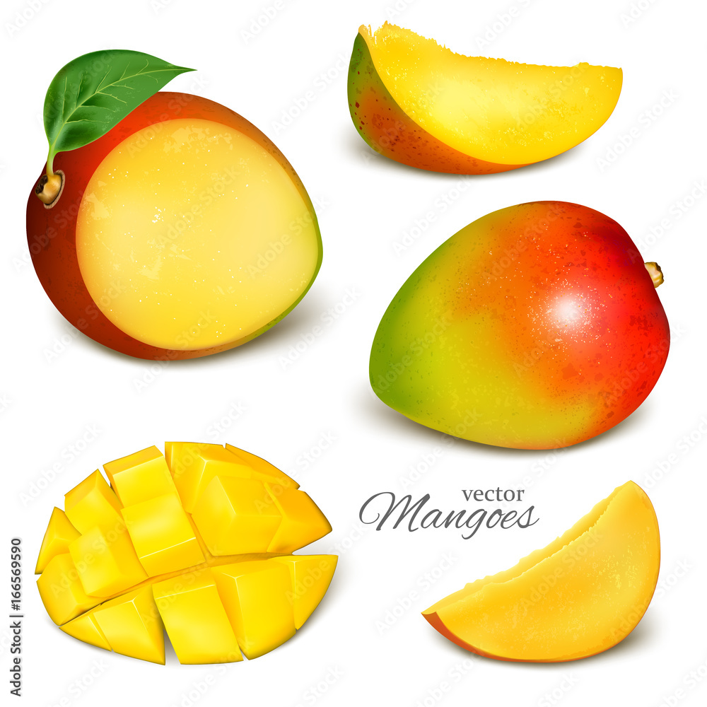 Fototapeta premium Collection of mangoes, whole, cut and slices. Vector