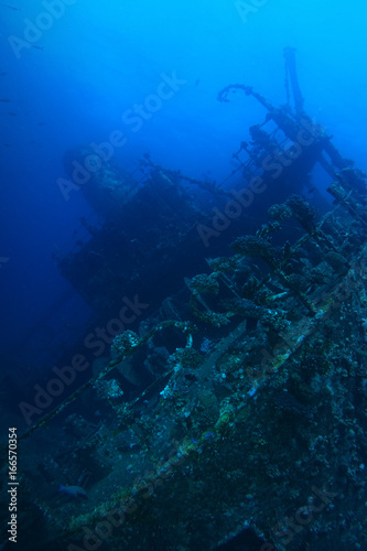 Back view of Giannis D Wreck © Nejat Semerci
