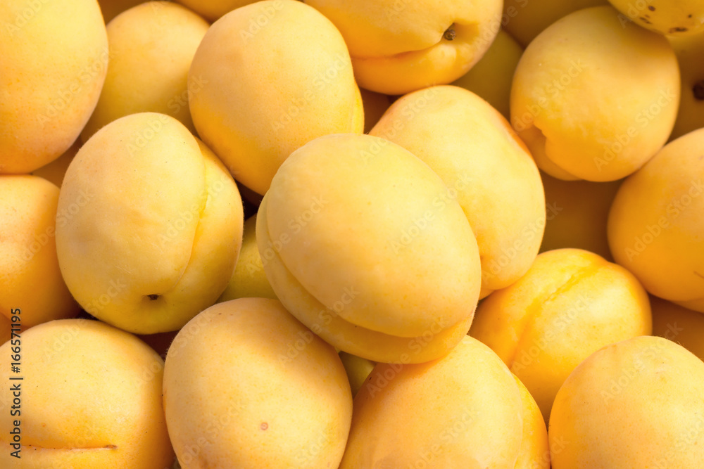 Ripe apricots on the market. Background of apricots close-up. Ripe apricots on the market. Background of apricots close-up.