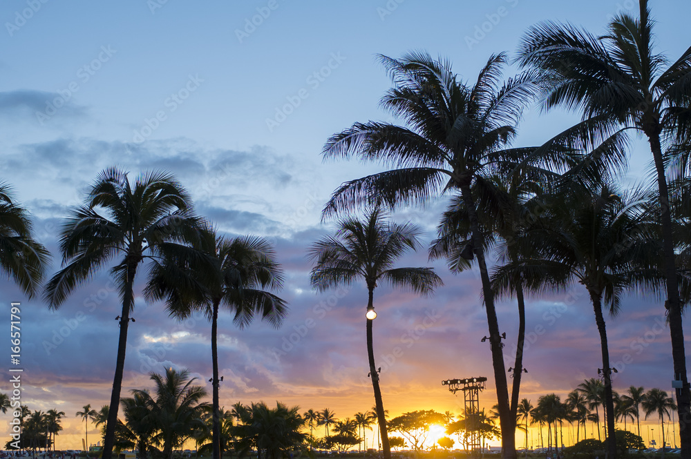ハワイ　ヤシの木と夕日
