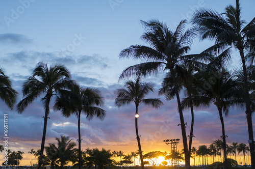 ハワイ ヤシの木と夕日