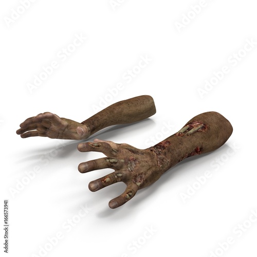 Terrible zombie hands  dirty hands of the mummy  on white. 3D illustration