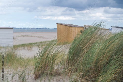 Strand mit Dünen im Sturm photo