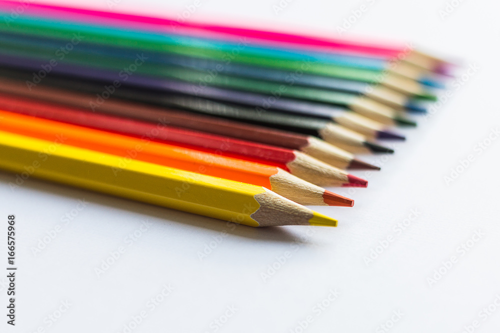 Multicolored pencils on white background