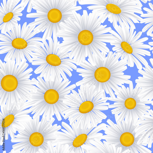 Seamless pattern with camomile flowers on a blue background