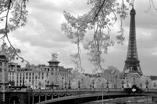 The Eiffel Tower and Alexandre III bridge in Paris, France.