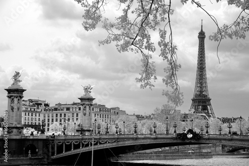 The Eiffel Tower and Alexandre III bridge in Paris, France.