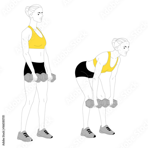 The girl is doing sports exercises with dumbbells isolated on white background. Vector illustration.