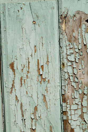 Wallpaper Mural Old Wood texture Green backgrounds Torontodigital.ca