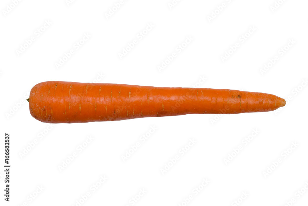 Carrot