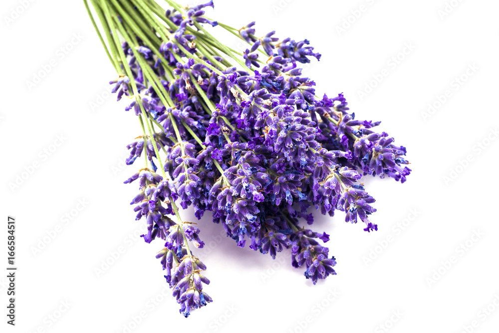 Lavender with aromatic oil Lavender with aromatic oil