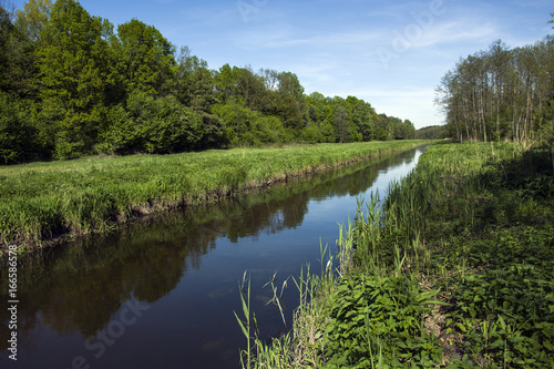 Long river under the forest