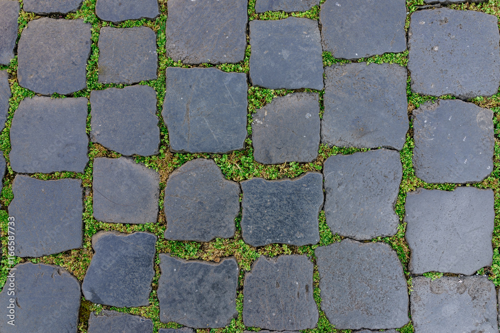 Ancient granite stone floor tile with green grass as background in Rome, Italy Ancient granite stone floor tile with green grass as background in Rome, Italy
