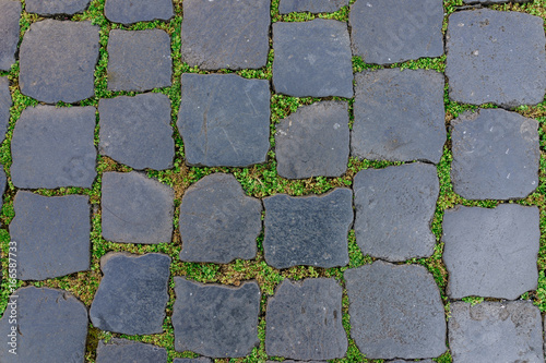 Ancient granite stone floor tile with green grass as background in Rome, Italy