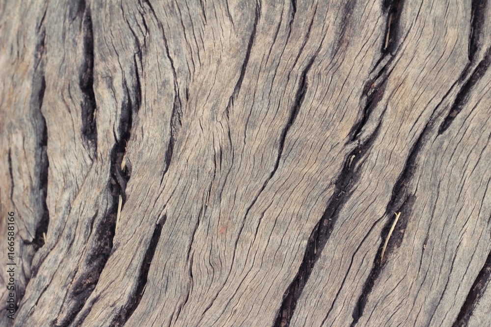 Old wooden beauty wall background and texture Old wooden beauty wall background and texture