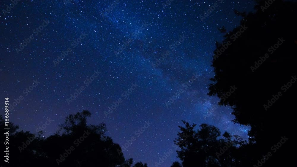 Incredible night stars Milky way time lapse with forest trees foreground Incredible night stars Milky way time lapse with forest trees foreground