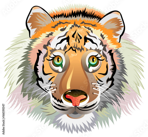 Fototapeta Naklejka Na Ścianę i Meble -  Head of cheerful striped tiger on white background. Vector cartoon image.