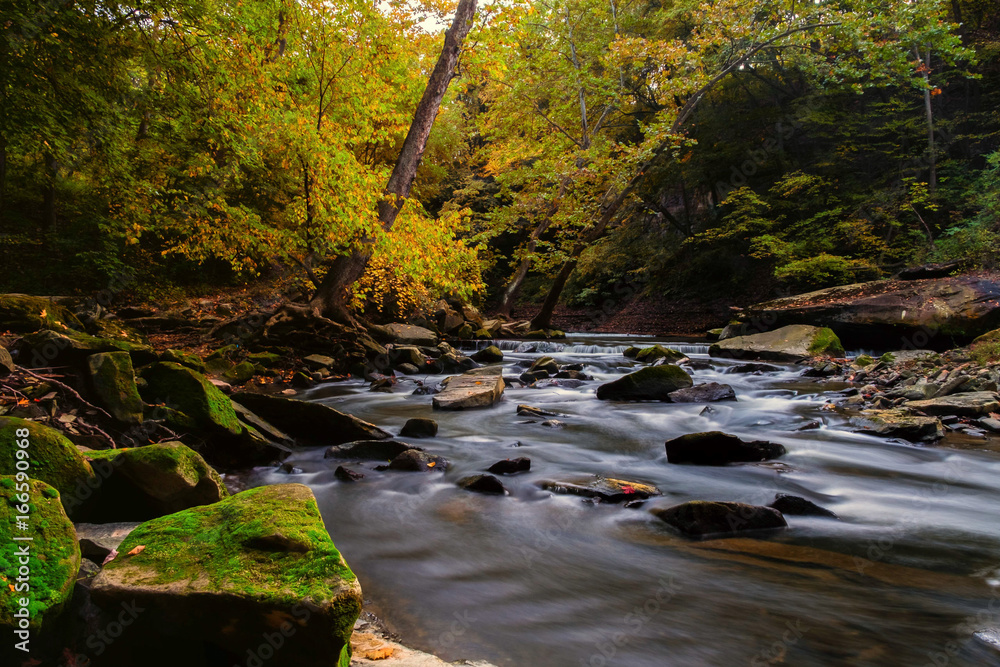 Obraz premium The River