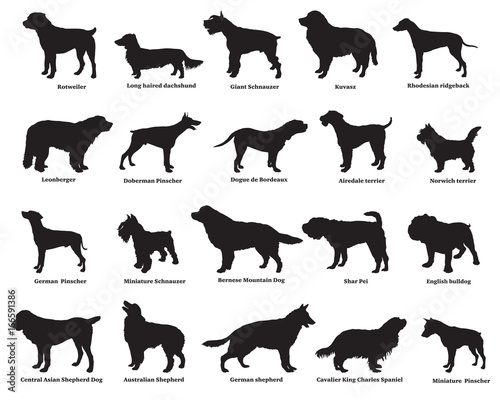 Set of dogs silhouettes
